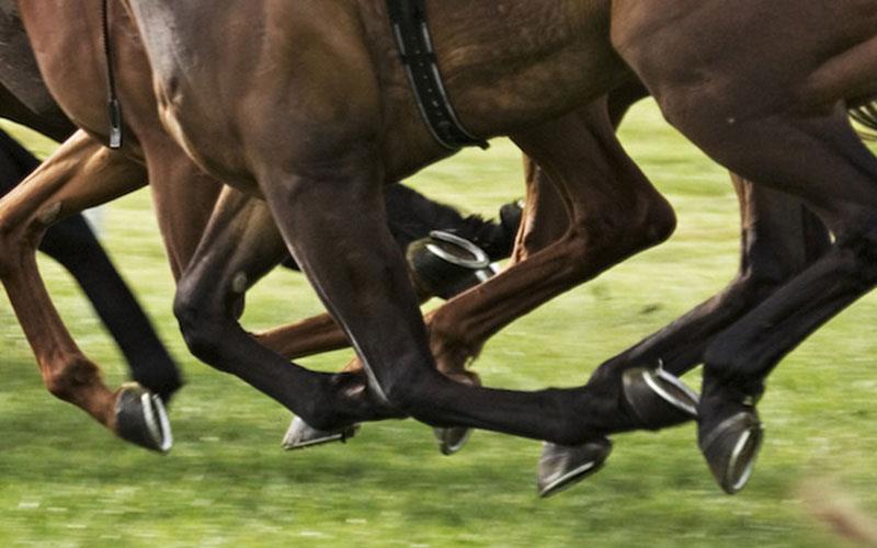 Τρέχετε με άλογο, τινάζετε χαλιά, απλώνετε μπουγάδα στον δρόμο, εμποδίζετε την κυκλοφορία με… άμαξα ή γαυγίζει ο σκύλος σας; Θα πληρώνετε €85 πρόστιμο – 22 παράξενα αδικήματα