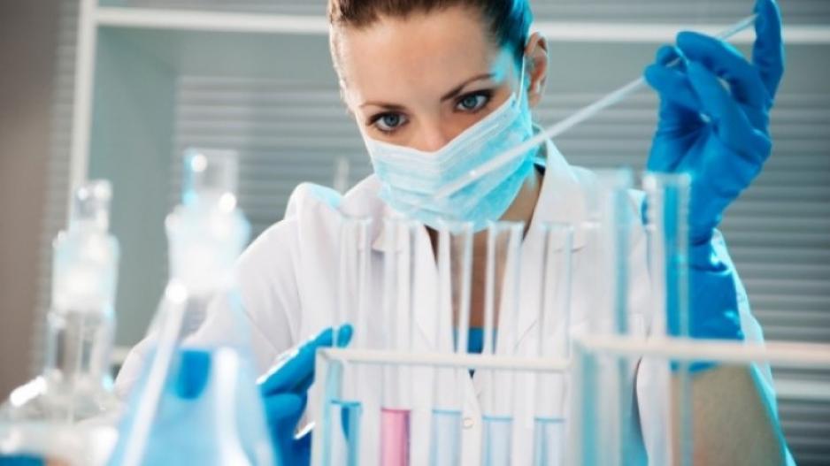 ΣΔΙΕΚ: Νέο Διοικητικό Συμβούλιο και προκλήσεις ποιότητας