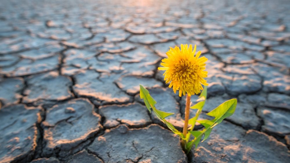 ΣΟΑΚ: Η ανομβρία ο σημαντικότερος κίνδυνος για την οικονομία