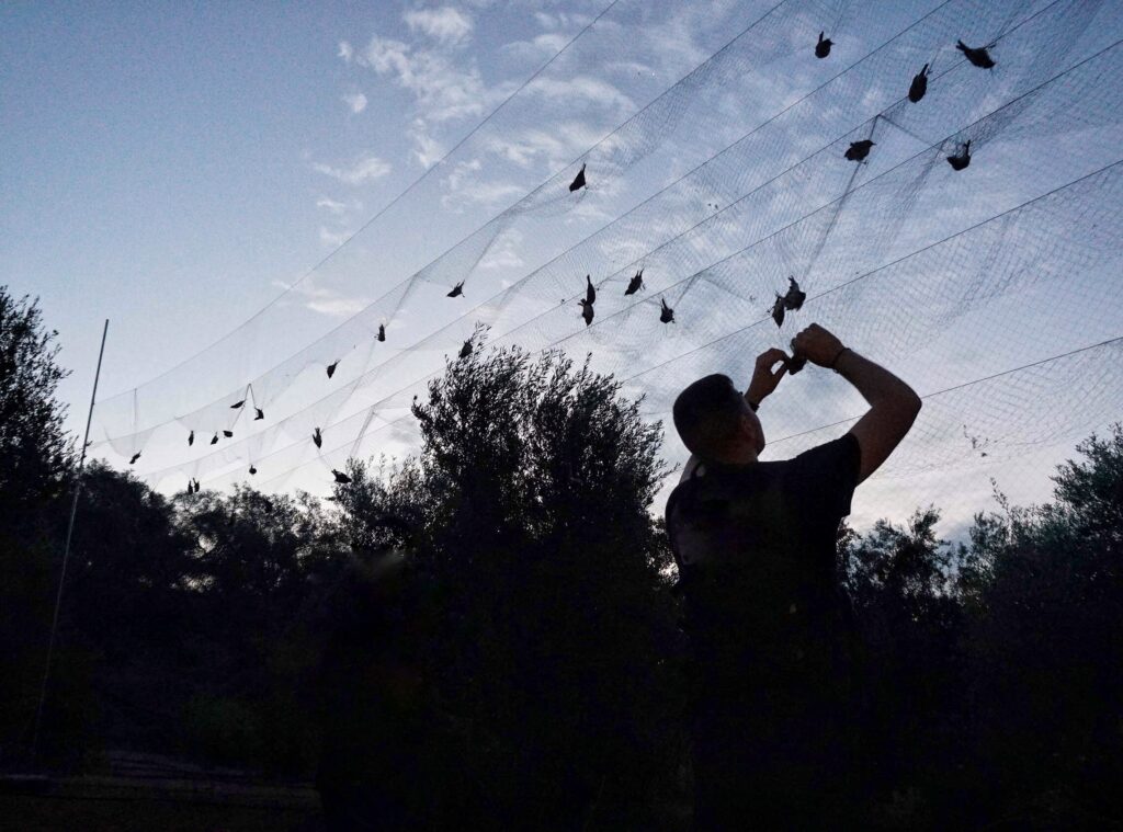 Εντατικοί έλεγχοι της Αστυνομίας για πάταξη της λαθροθηρίας – Εντοπισμός παγιδευμένων άγριων πτηνών στον Άγιο Θεόδωρο Λάρνακας