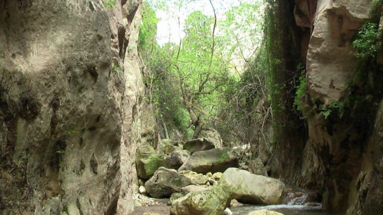Η κακοκαιρία Byron κλείνει το Φαράγγι του Άβακα – Η ενημέρωση του Τμήματος Δασών