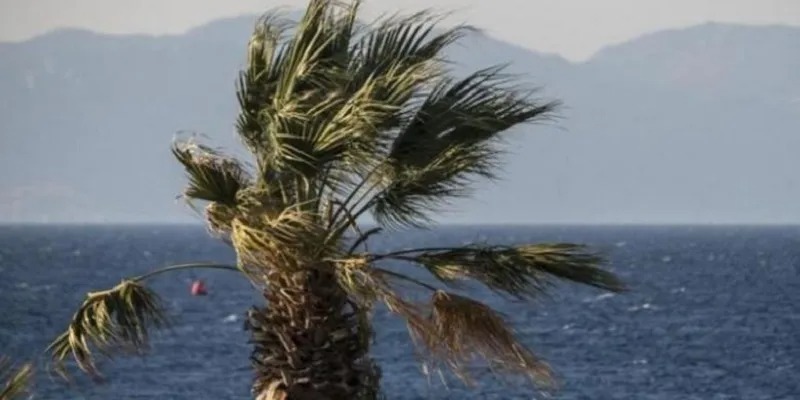 Caution from the Winds: Warning for Many Beauforts Until This Afternoon – What the Meteorology Department Reports