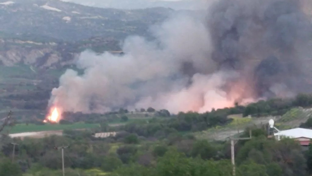 Πυρκαγιά με το καλημέρα: Μεγάλη επιχείρηση πυρόσβεσης στην Τάλα (εικόνες)