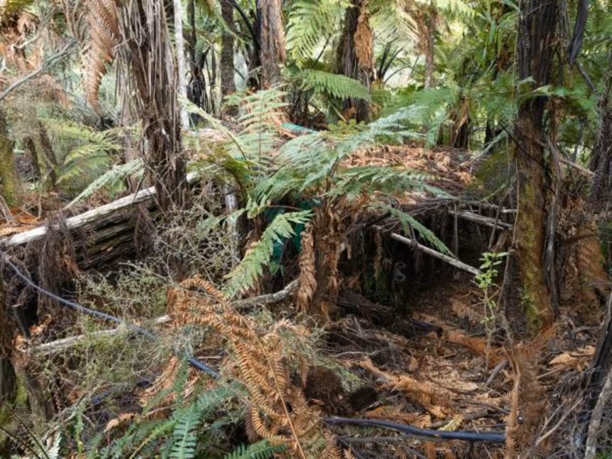 Πατέρας έκρυψε τα παιδιά του από τον κόσμο για σχεδόν τέσσερα χρόνια στην άγρια φύση της Νέας Ζηλανδίας – Συγκλονιστικές εικόνες