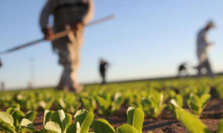 Ας κοιτάξει τι κάνουν οι άλλοι ΕΟΑ