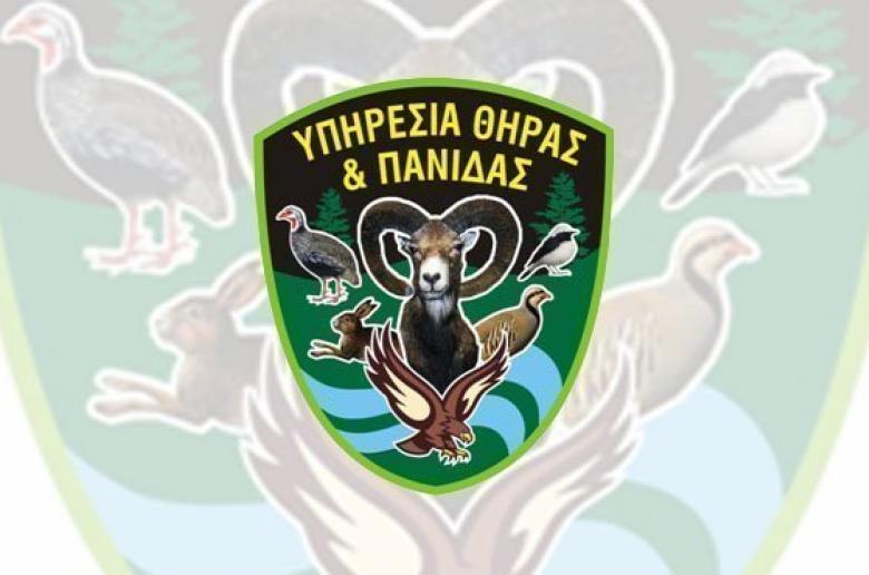 Φωνάζουν χρόνια, αλλά ποιος ακούει;