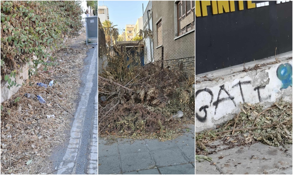 Απαξιωτικές εικόνες στην οδό Στασάνδρου: Κλαδέματα στο πεζοδρόμιο ενώ χλωρά κλαδιά δέντρων μπήκαν στις βεράντες σπιτιών