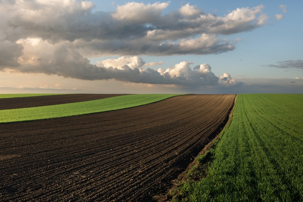 Έρευνα ΙΚυ: Οι ανθρωπογενείς εκπομπές αμμωνίας από τη γεωργία επηρεάζουν το παγκόσμιο κλίμα