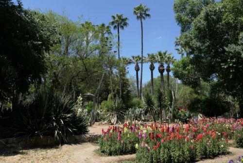 Χίλια και πλέον μελισσοκομικά δέντρα και φυτά φυτεύτηκαν στην ορεινή Λάρνακα