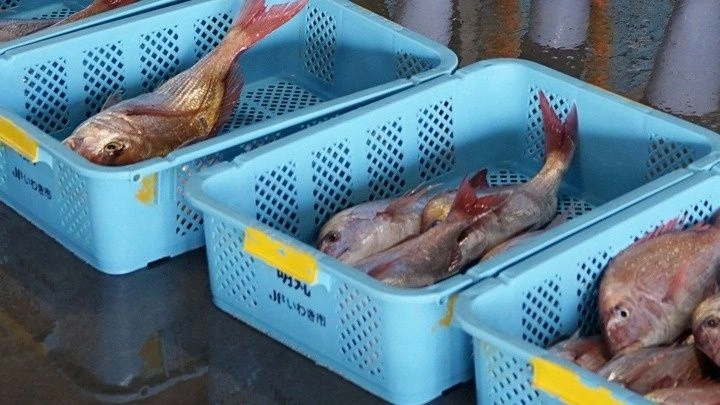 Κρίση στις σχέσεις Ιαπωνίας – Κίνας για την Ταϊβάν – Αναστέλλει τις εισαγωγές θαλασσινών το Πεκίνο