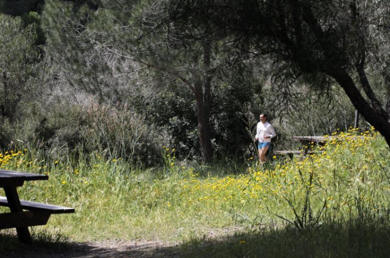 Βουλή: Αντιδράσεις για την προτεινόμενη επέκταση λεωφόρου μέσω Πάρκου Αθαλάσσας