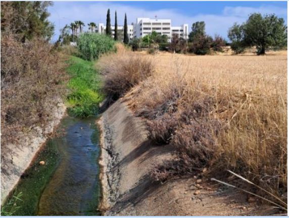 Καταγγελίες Οικολόγων: Επικίνδυνη ρύπανση στα Κάτω Πολεμίδια