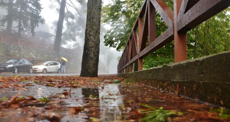 Κλειστός παραμένει δρόμος στο Εθνικό Δασικό Πάρκο Μαχαιρά – Παρουσιάζει εξαιρετική επικίνδυνη κλίση