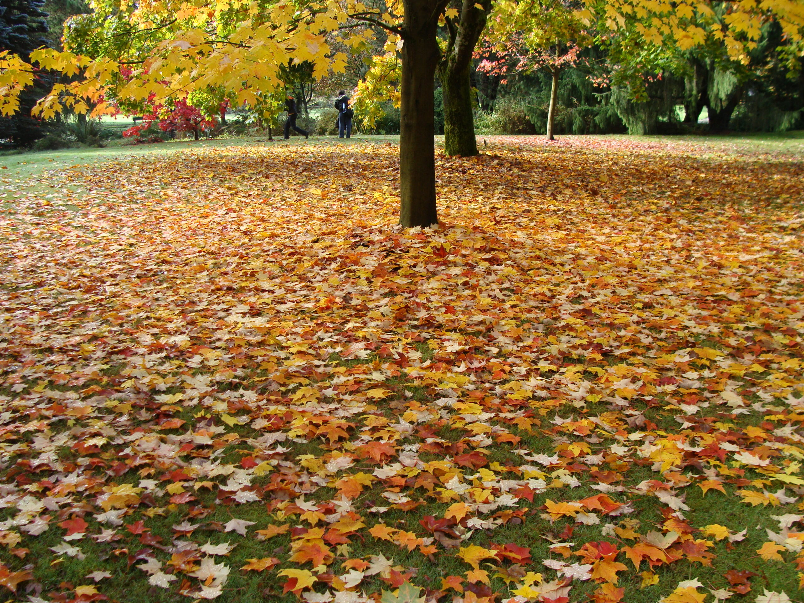 Σκόρπια κι αδέσποτα…