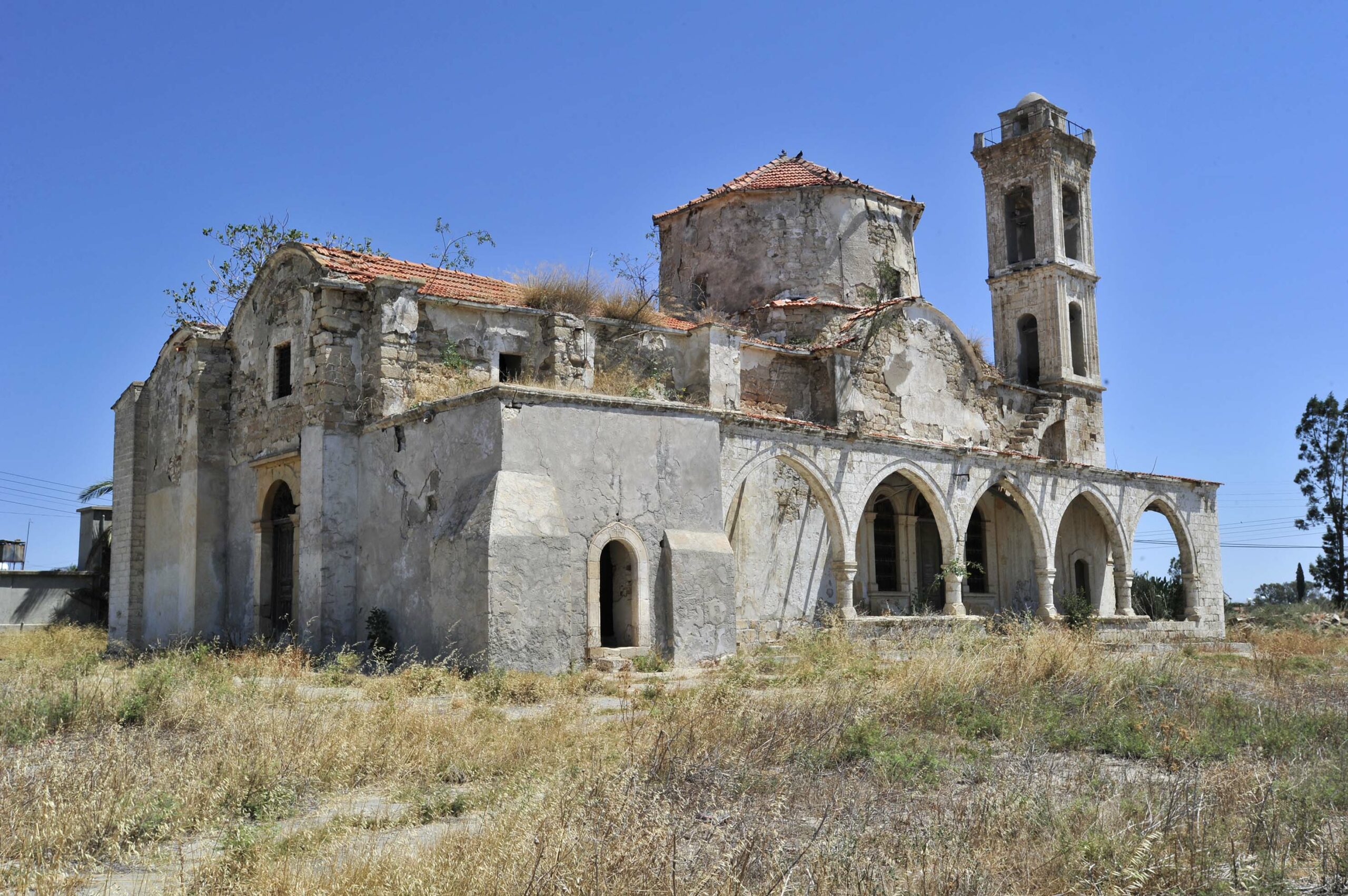 A New Year, A Persistent Hope for Cyprus