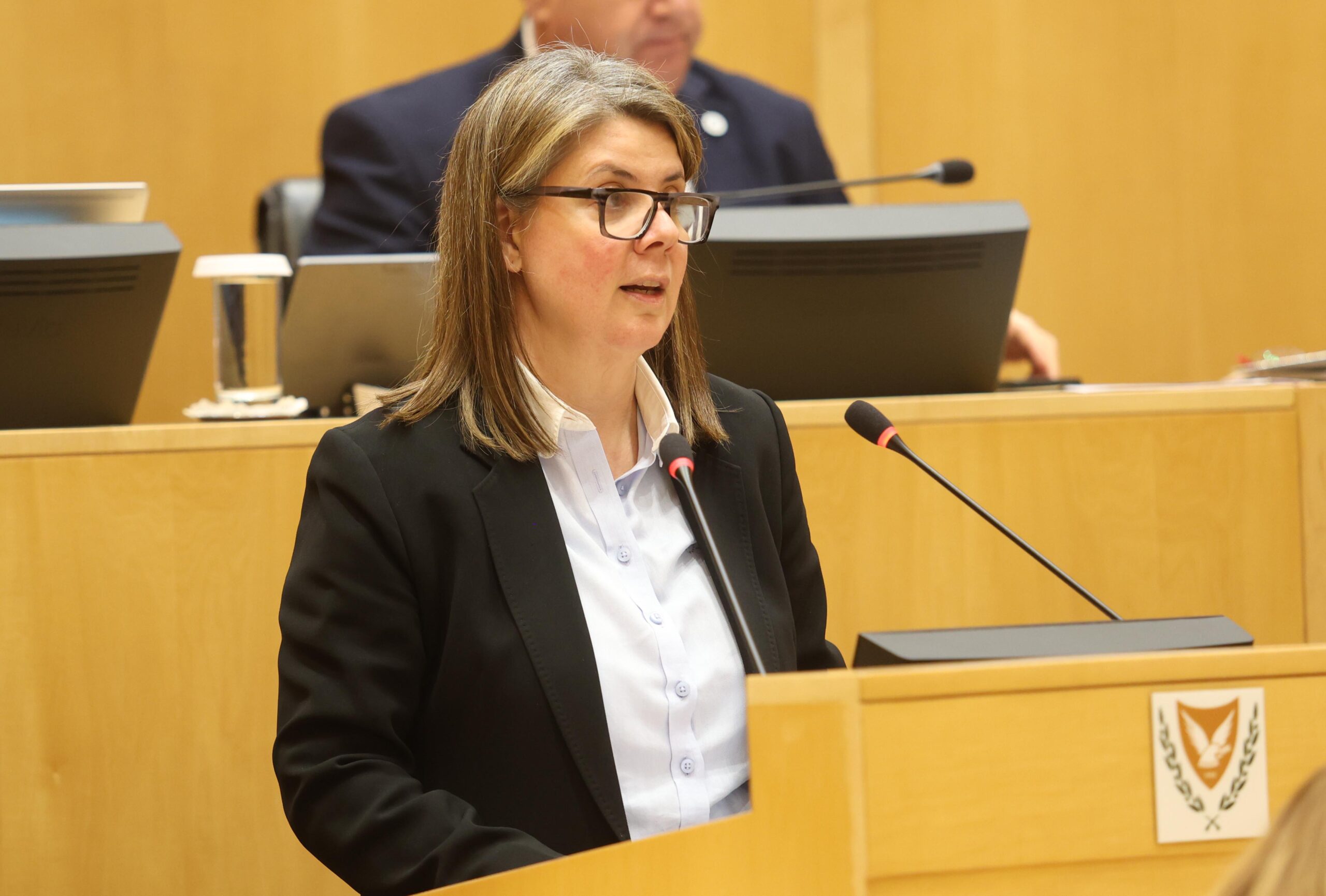 Θετική η προοπτική οικονομίας περιβάλλεται όμως από αβεβαιότητα, λέει η Ερωτοκρίτου