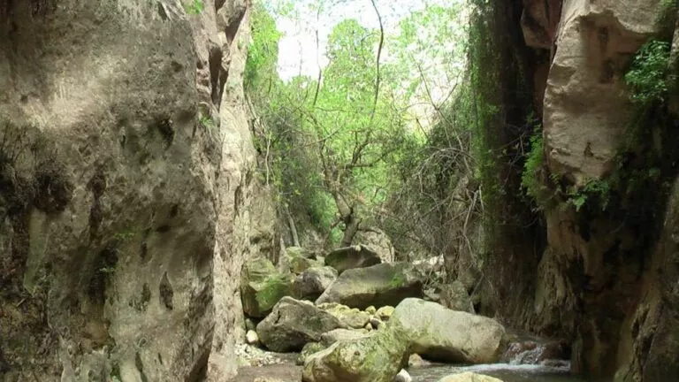 Τουλάχιστον εμείς κλείνουμε υπαίθριους χώρους