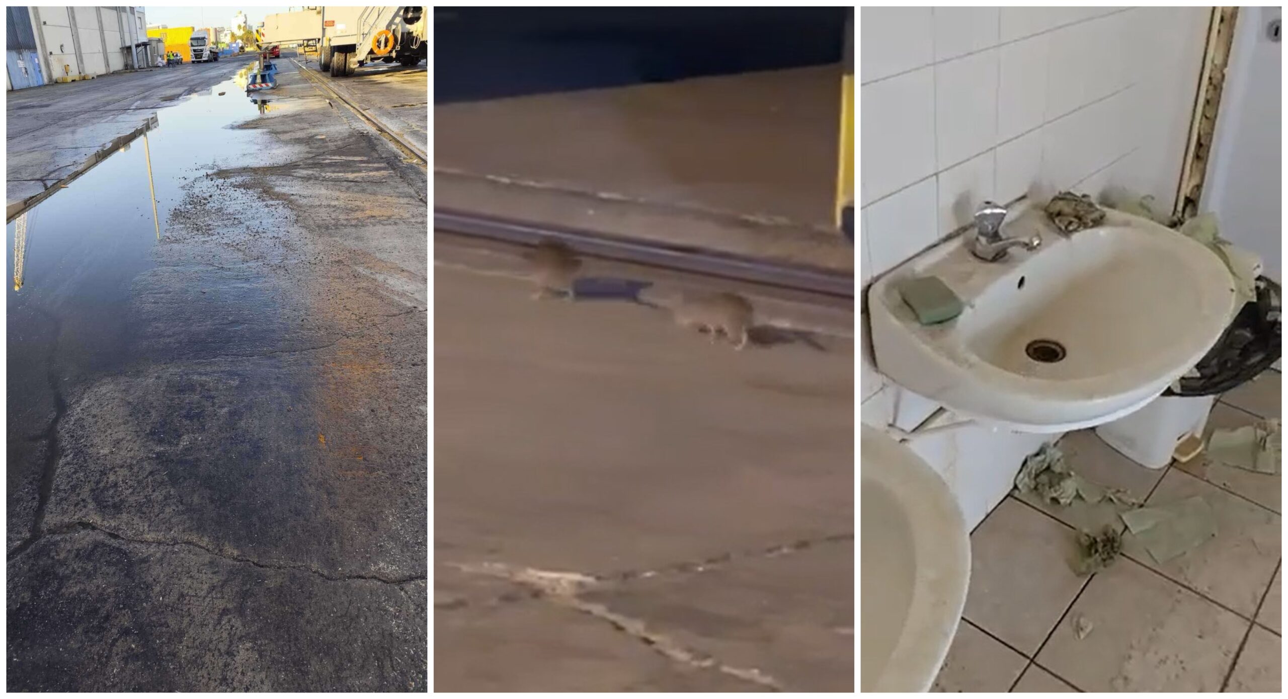 Εικόνες ντροπής στο λιμάνι Λάρνακας: Βίντεο από ποντίκια, βρομιά και λύματα – Έξαλλοι οι εργαζόμενοι, κατήλθαν σε στάση εργασίας