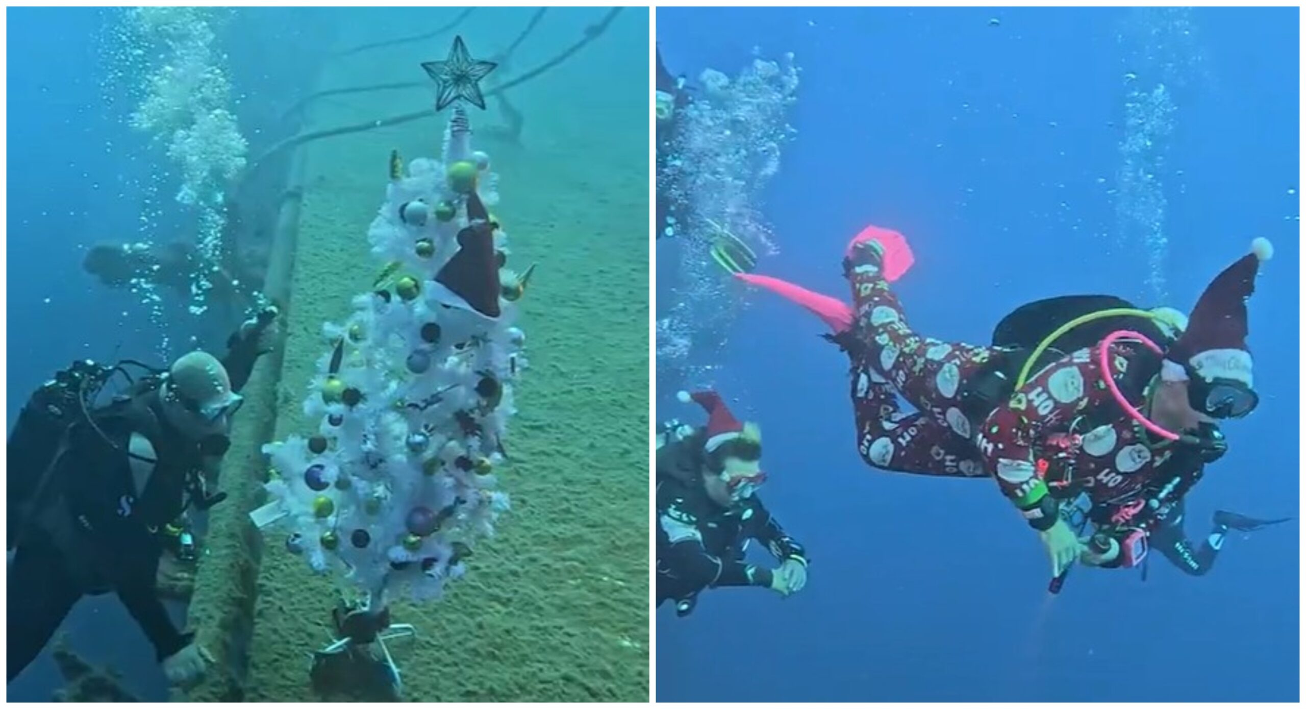 Εντυπωσιακό βίντεο από τον χριστουγεννιάτικο στολισμό του διάσημου ναυαγίου Ζηνοβία