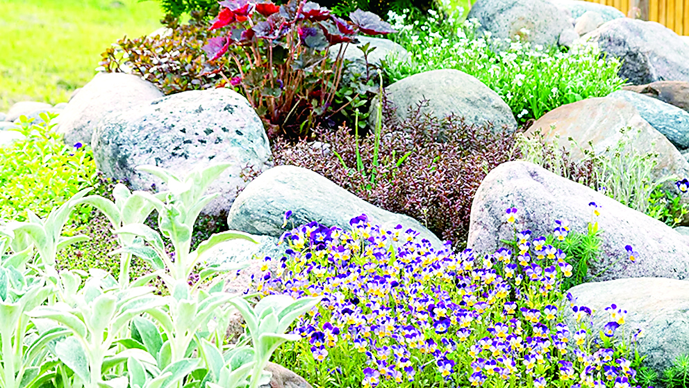 Το ιερό μου «τυπικό»…