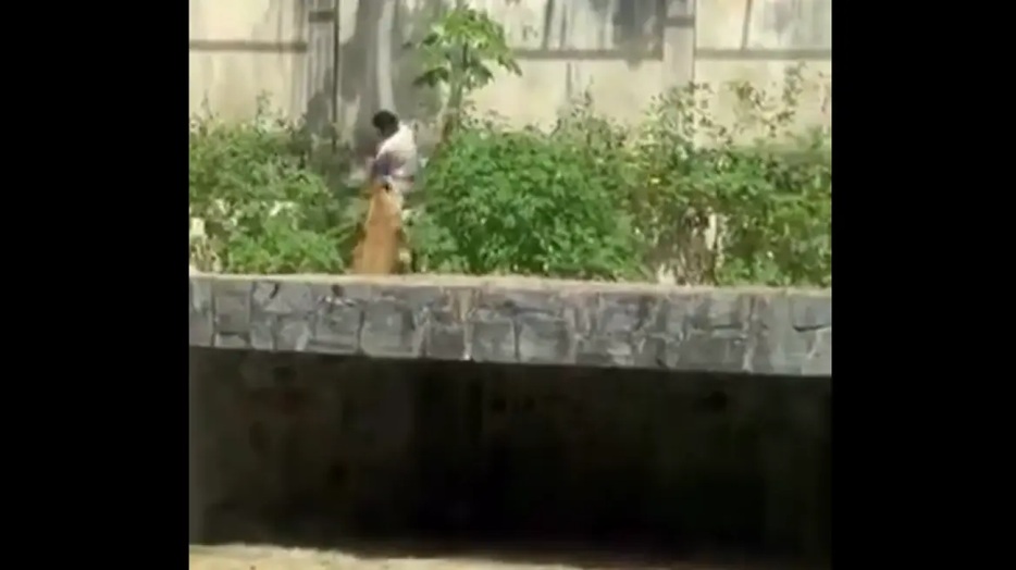 Τραγικός θάνατος για 19χρονο στη Βραζιλία: Μπήκε σε κλουβί ζωολογικού κήπου με λιοντάρια και τον κατασπάραξαν