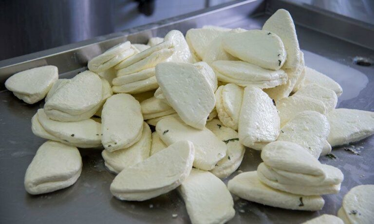Halloumi PDO: Higher Goat and Sheep Milk Ratio Required from 2026