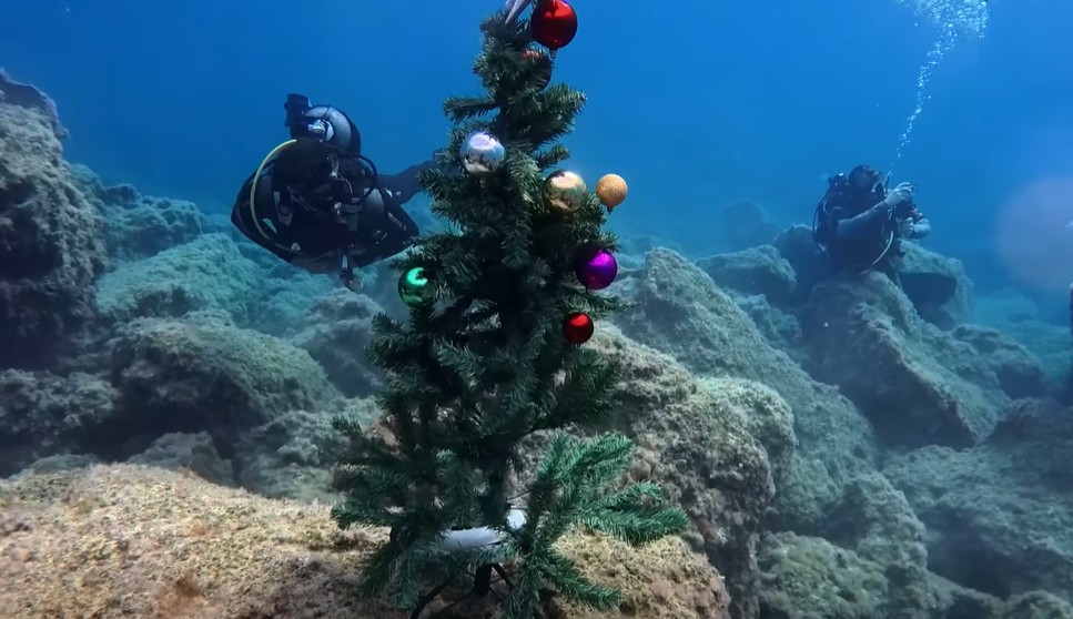 Χριστουγεννιάτικο δέντρο στο βυθό του Πρωταρά (βίντεο)