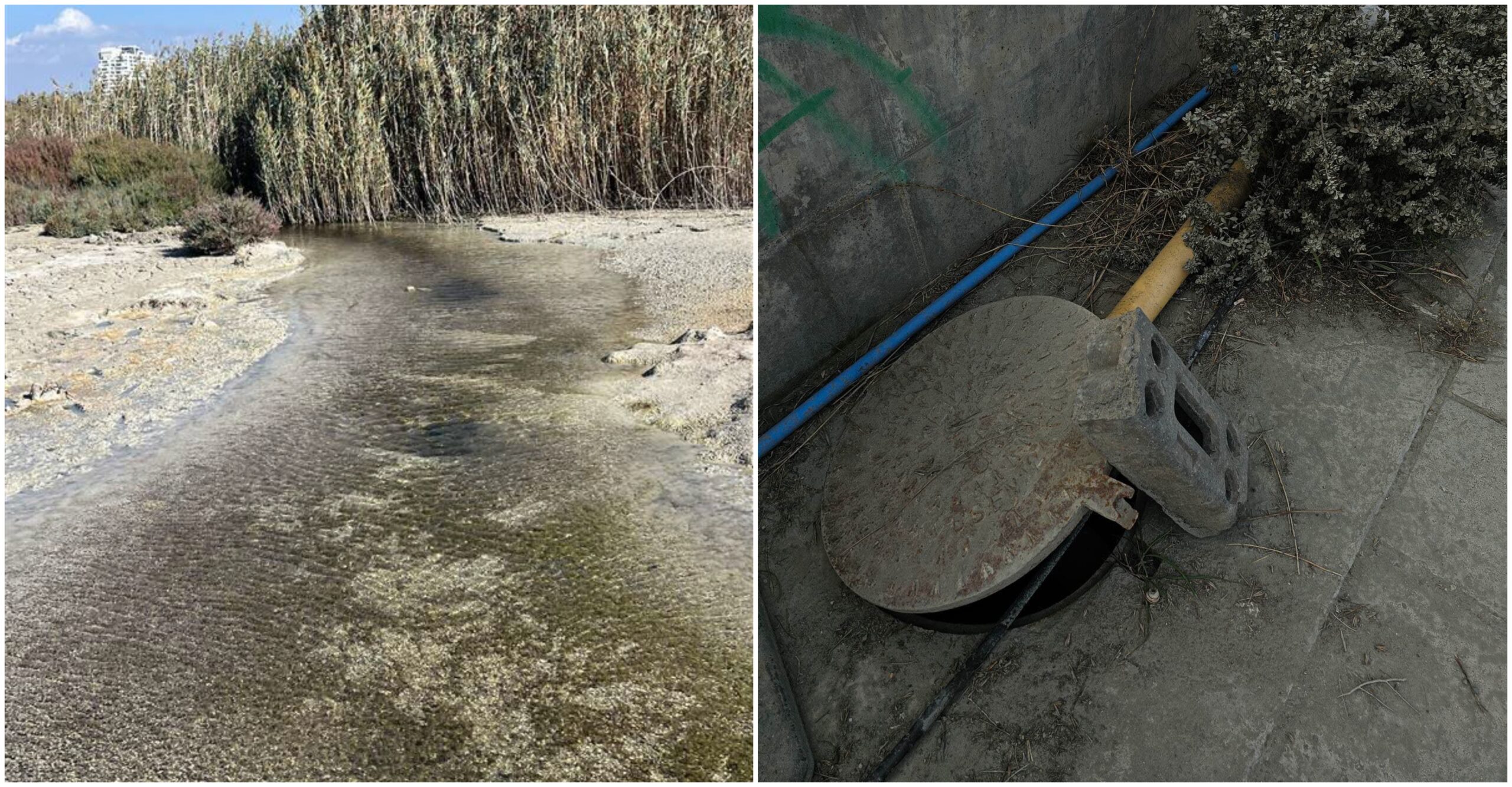 «Καμπανάκι» του BirdLife Cyprus για τους υγροτόπους Ακρωτηρίου: Χάρτες δείχνουν το μέγεθος της καταστροφής