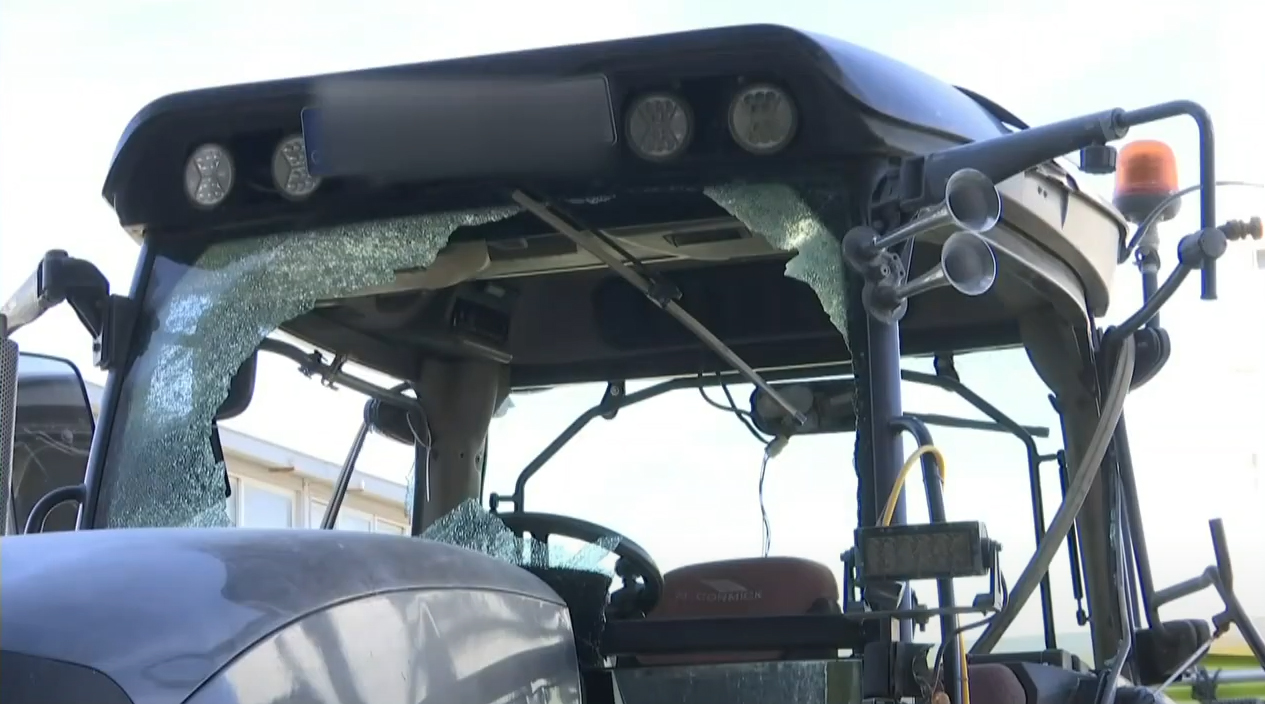 Peace, They Say, Is Something That Is Built. We're Doing Well With Grape Philosophies!