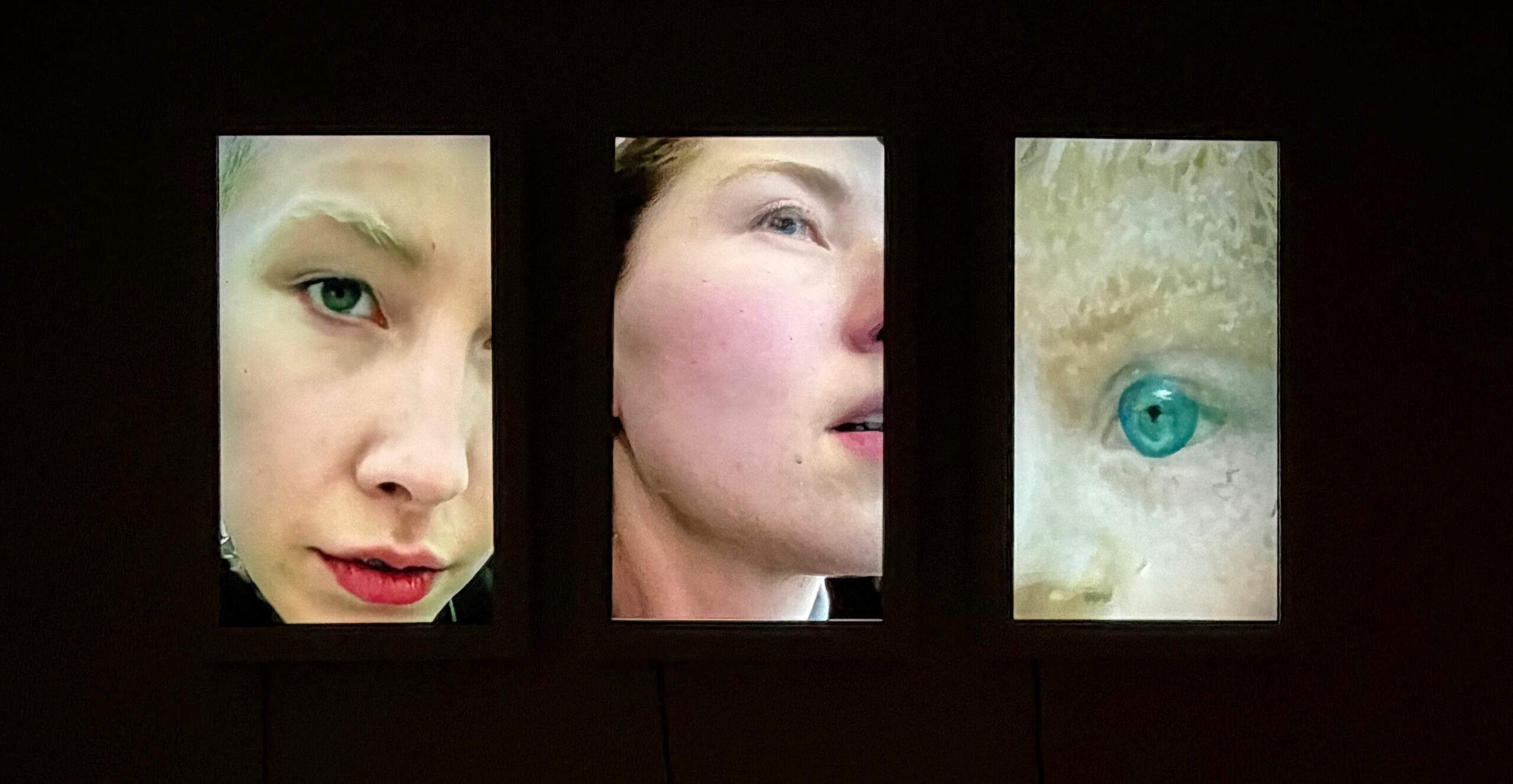 Ανάμεσα στο βλέμμα και τον αλγόριθμο