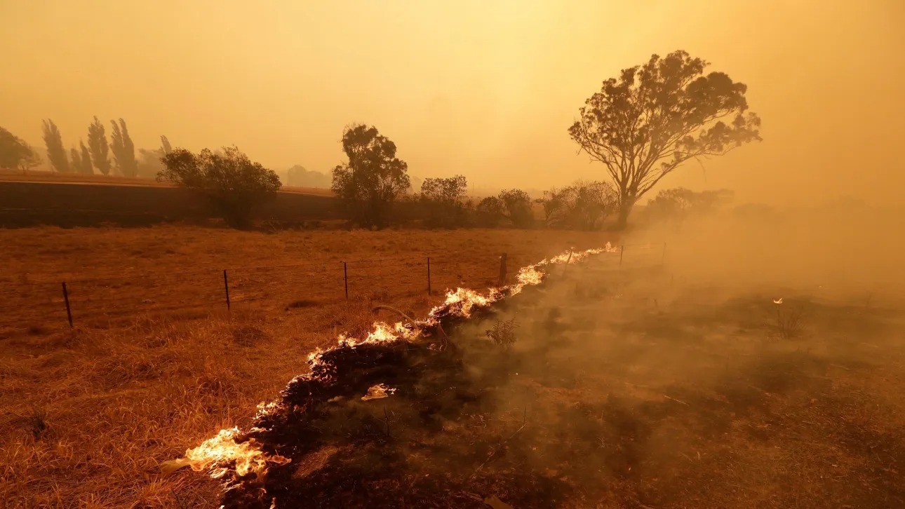 Raging Wildfires in Australia: 'Catastrophic' Conditions Forecast