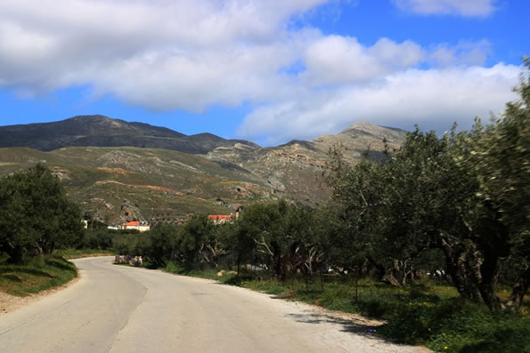 Οι Δρόμοι της Ελιάς, φθάνουν στην Πάφο το 2026