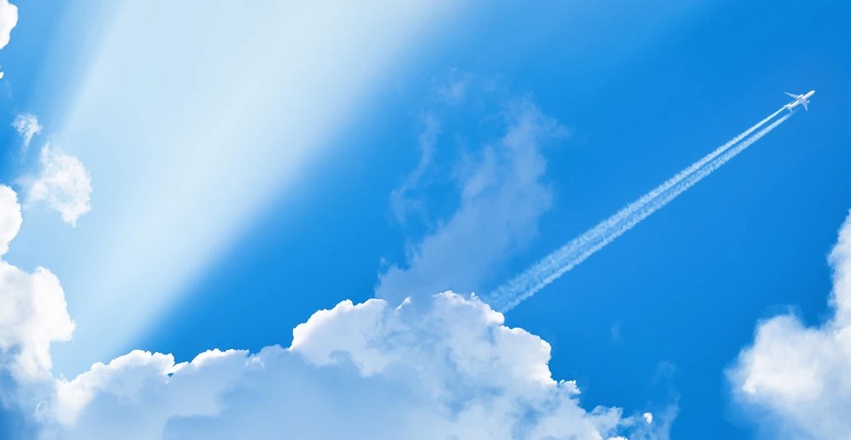 Δεν είδε την ομορφιά της μέρας