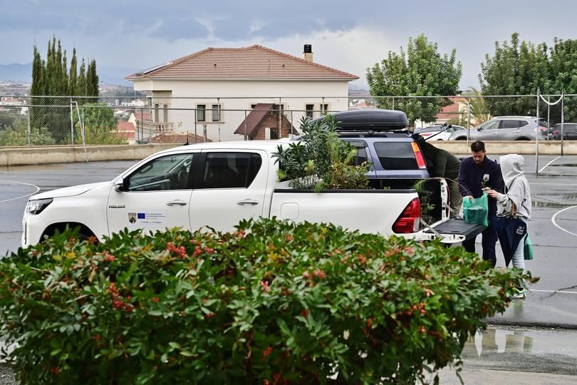 Γιορτή του δέντρου στην Πάφο