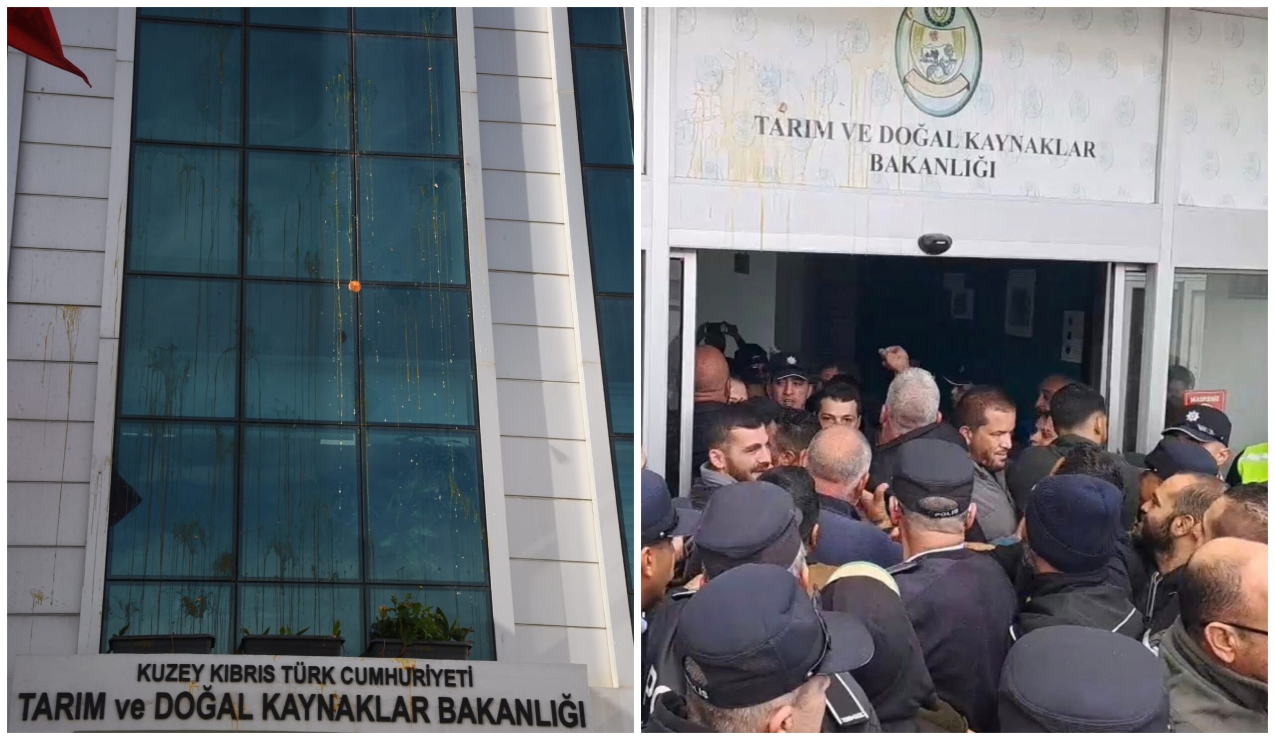 Farmers Protest in Northern Cyprus: Eggs Thrown at 'Agriculture Ministry'