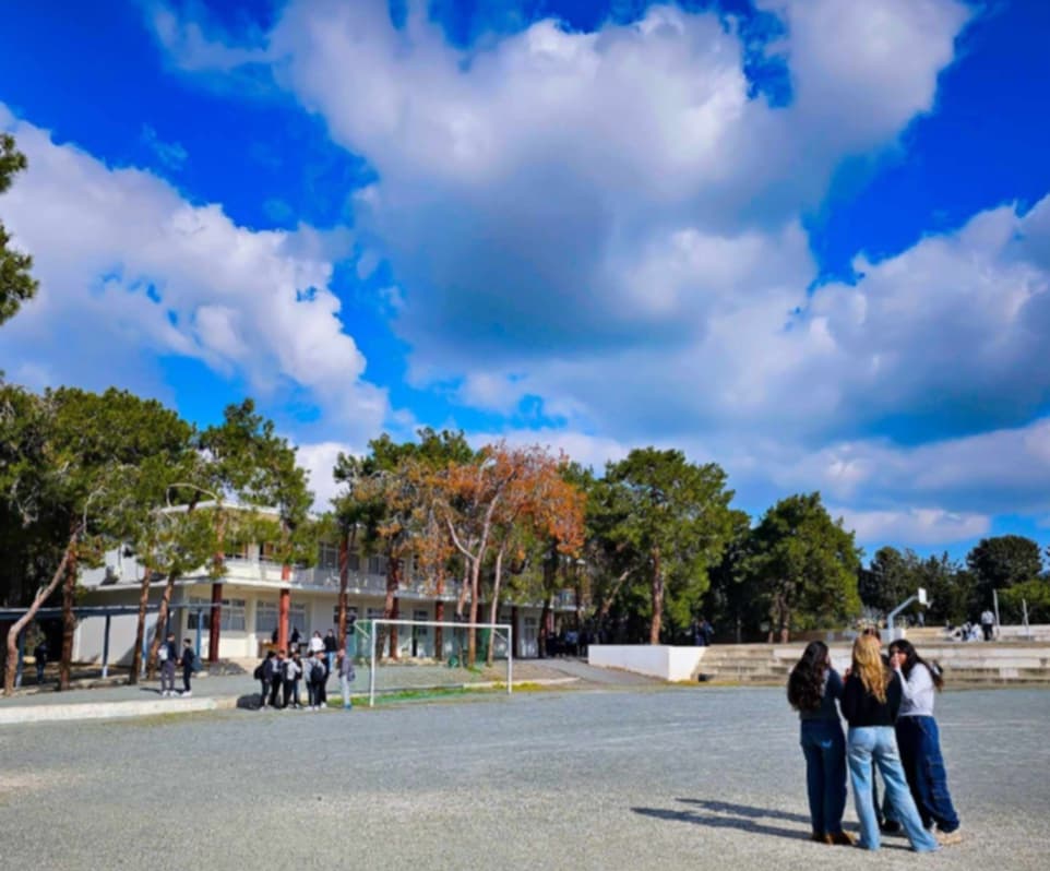 Agathi Savvidou Urges Immediate Clearing of Brushwood Near Lyceum of Agios Neophytos in Paphos