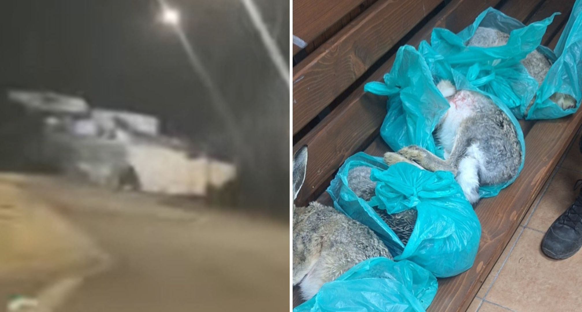 Κυνηγούσαν με τετράτροχες λαγούς στη Νεκρή Ζώνη – Άγρια καταδίωξη από την Υπηρεσία Θήρας (βίντεο)