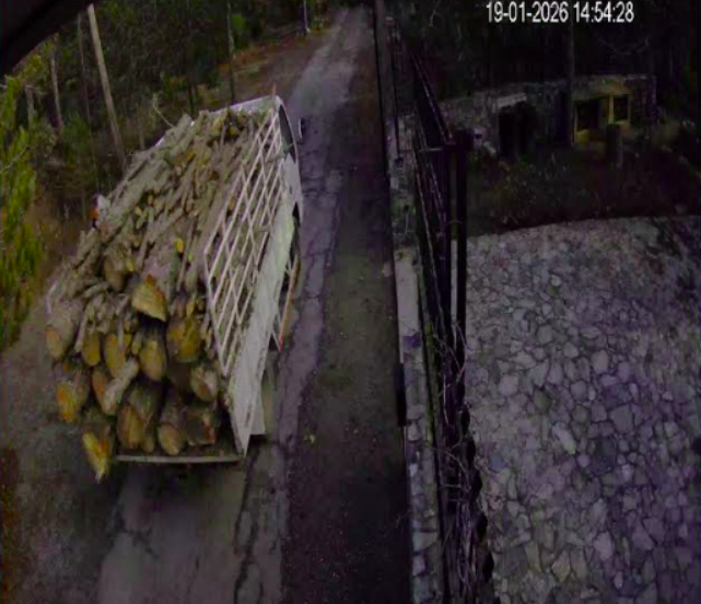 Σκάνδαλο υλοτομίας στο Τρόοδος: Στο μικροσκόπιο το Τμήμα Δασών και ο τέως διευθυντής του