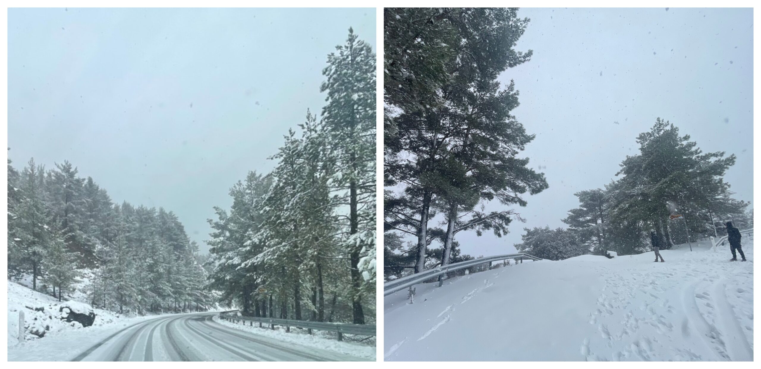 Απόψε η πιο κρύα νύχτα του φετινού χειμώνα: Μαγευτικές εικόνες από το ολόλευκο Τρόοδος – Ανέβηκε στα 31 εκατοστά το στοιβαγμένο χιόνι (βίντεο)