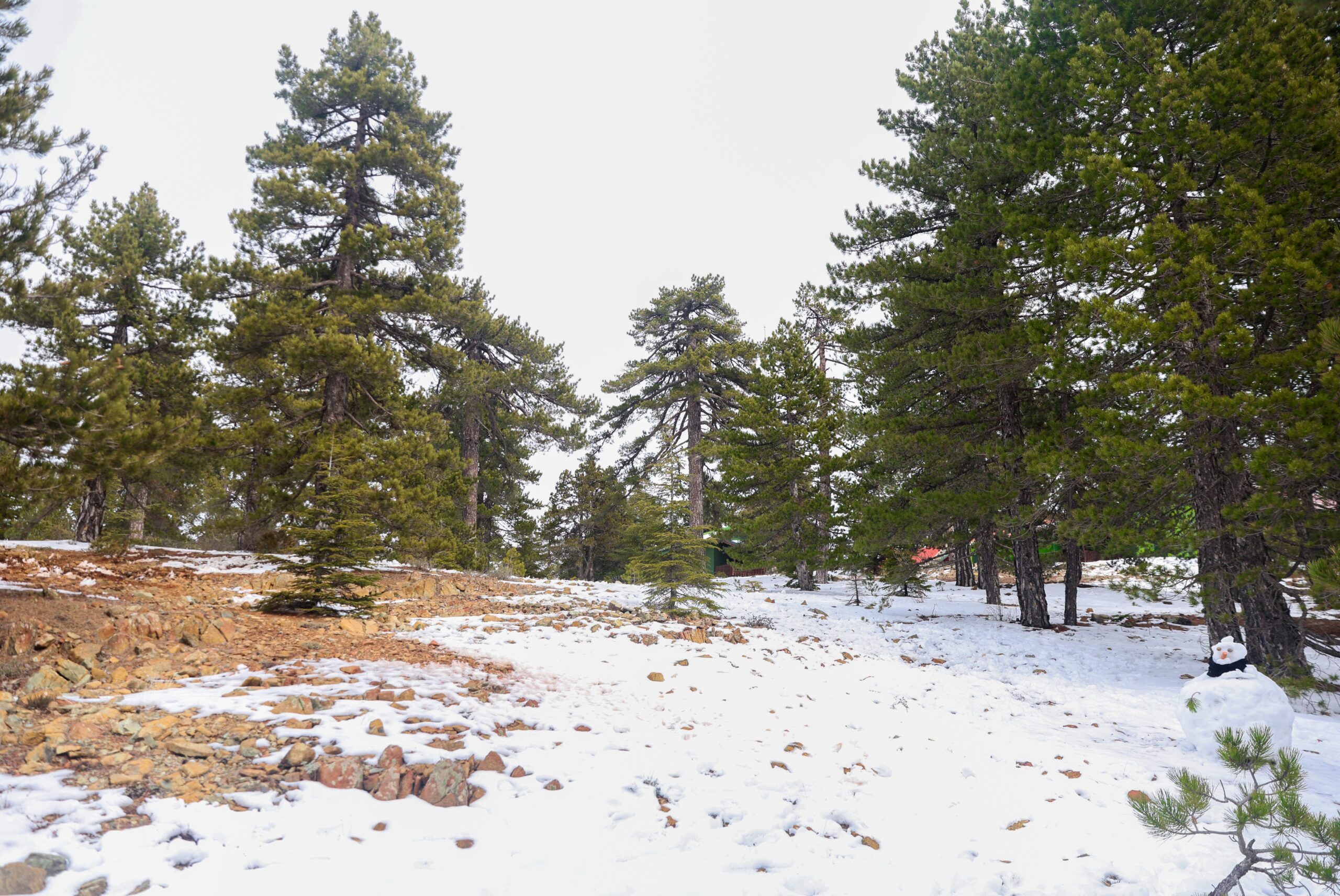 Βροχές, καταιγίδες και χιόνια – Ο καιρός το Σαββατοκύριακο