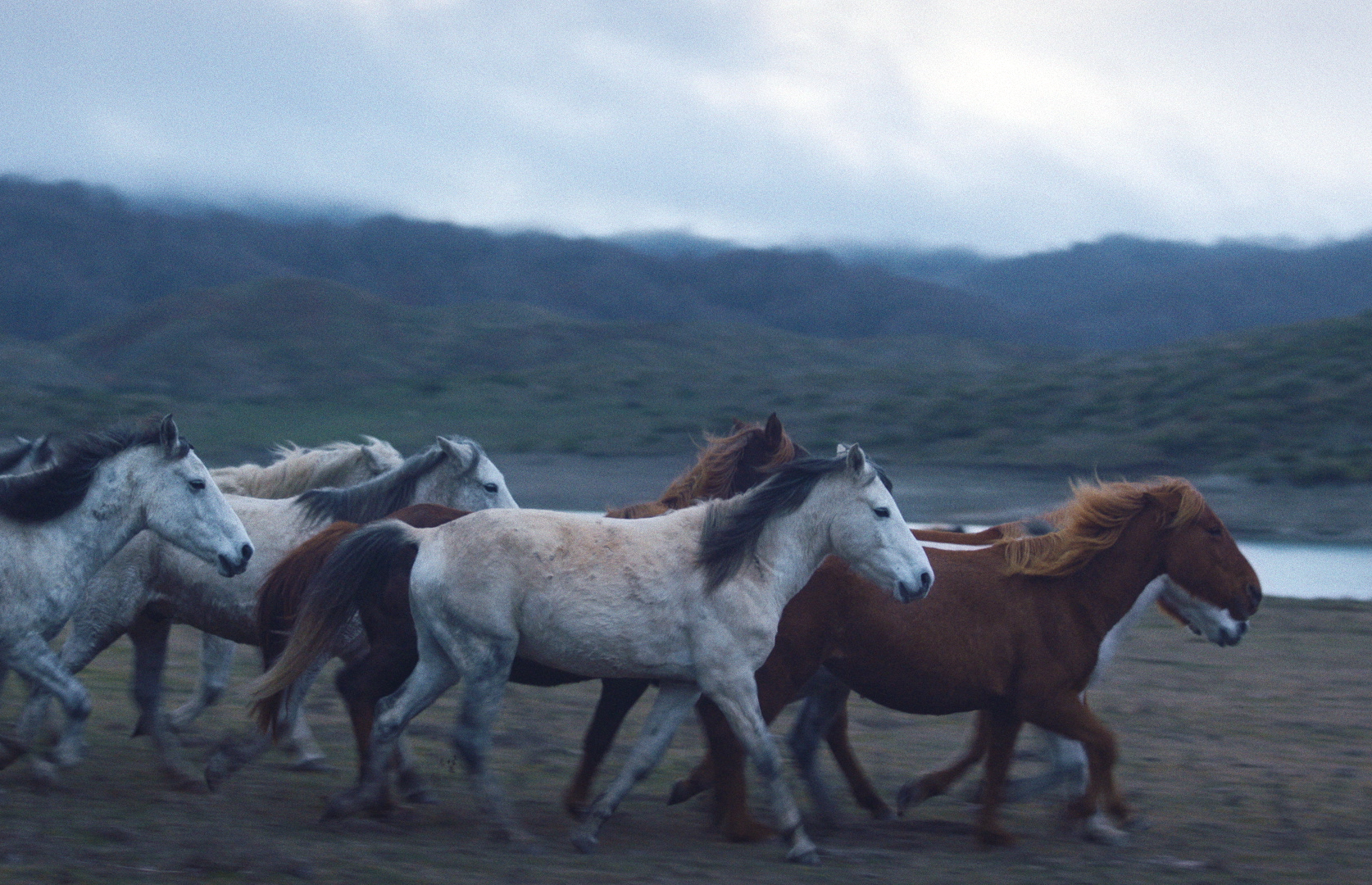 Το Φεστιβάλ Δράμας ταξιδεύει στην Κύπρο με 9 επιλεγμένες ταινίες