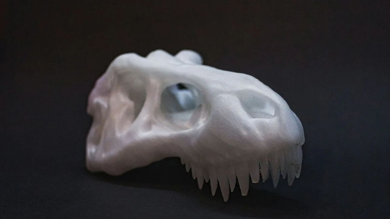 Ισπανία: Επιστήμονες εντόπισαν νέο είδος ζώου που έζησε πριν 100 εκατ. χρόνια