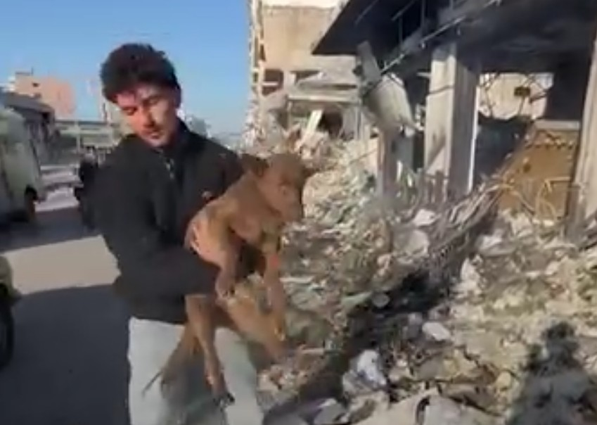 Λίβανος: 20χρονος έσωσε εκατοντάδες κατοικίδια που εγκαταλείφθηκαν λόγω πολέμου