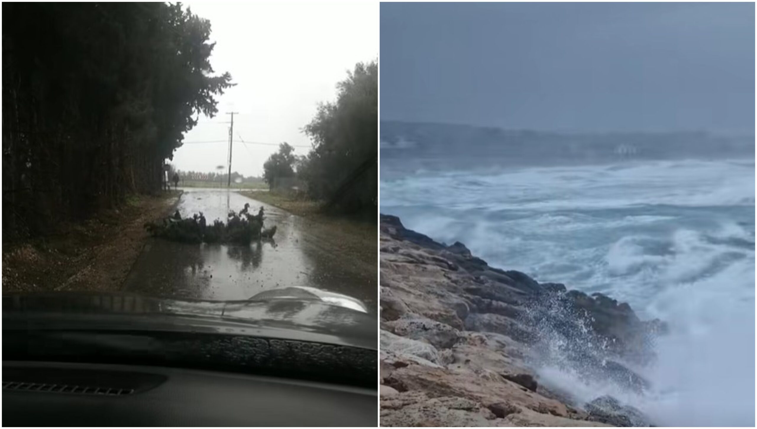 Προκάλεσαν προβλήματα οι θυελλώδεις άνεμοι: Πτώσεις δέντρων, στεγάστρων και ντεποζίτων – Τα περιστατικά ανά επαρχία (βίντεο)