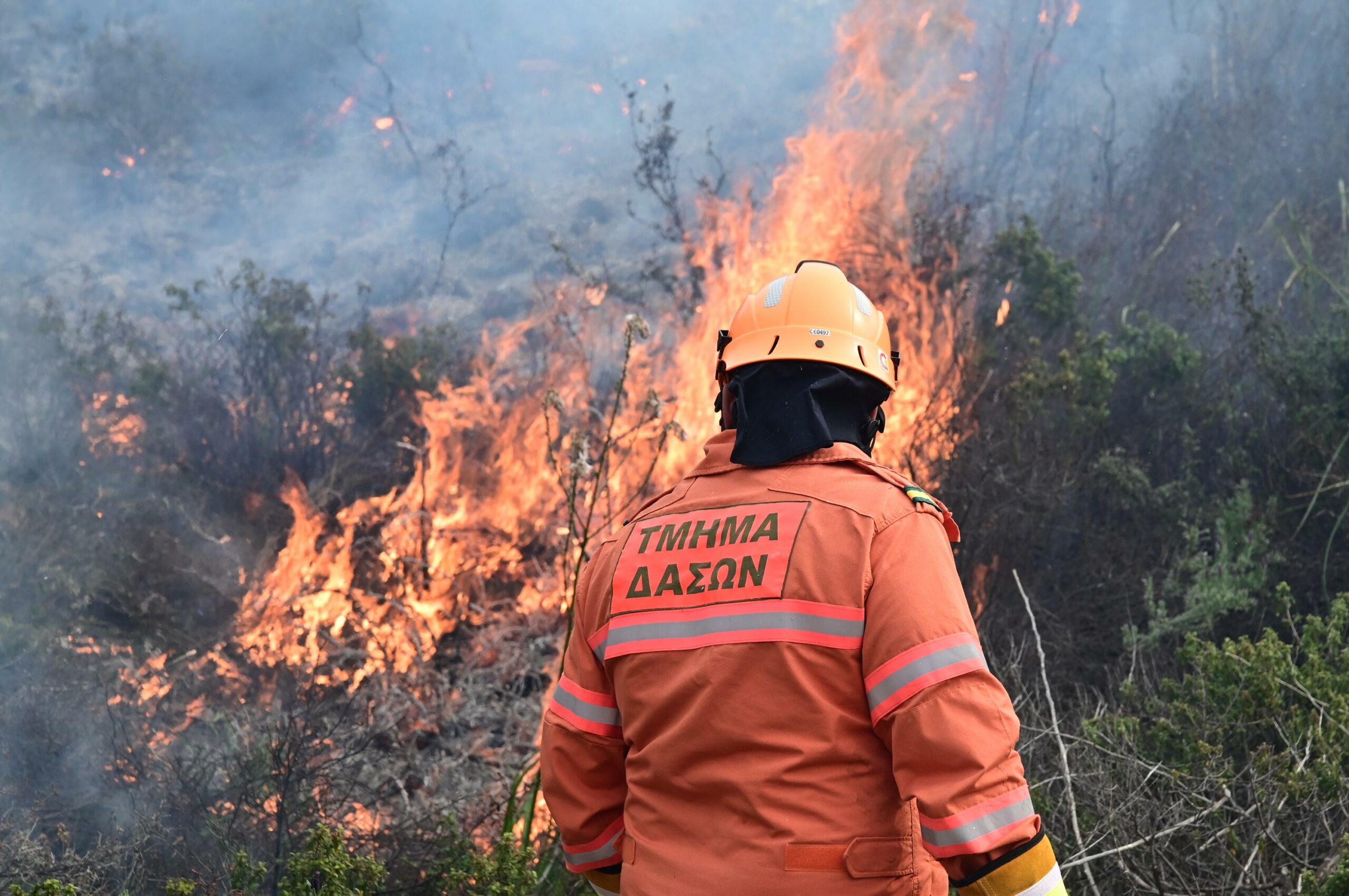 Τμήμα Δασών: Με επιτυχία η ελεγχόμενη καύση στο Δάσος του Μαχαιρά (βίντεο-εικόνες)