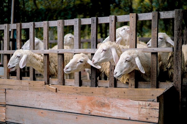 Υπονομεύουν προσπάθεια αντιμετώπισης του ιού