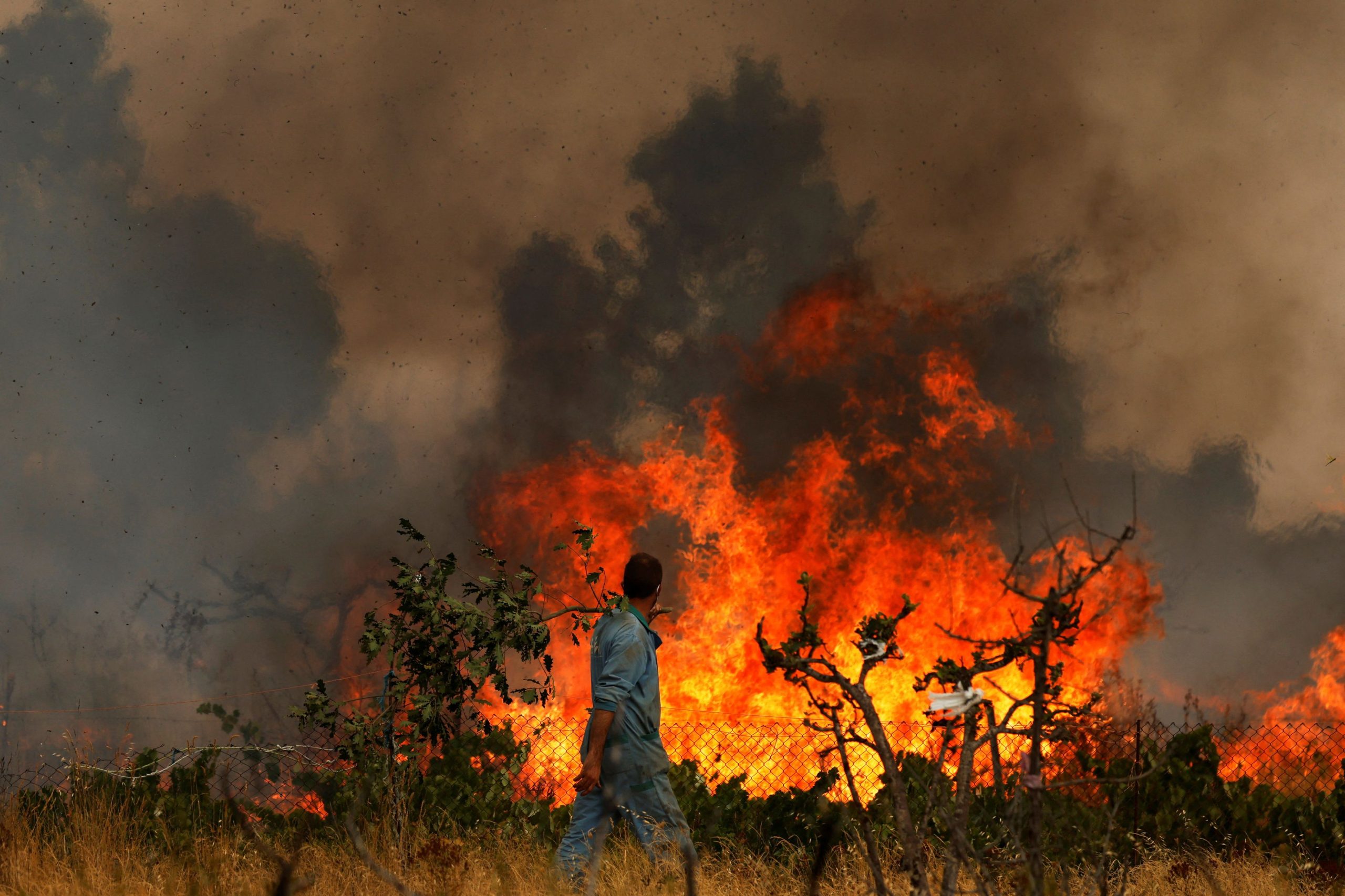 Η Υγεία στην Κύπρο στη δίνη της κλιματικής αλλαγής – Τι καταγράφει η έκθεση Lancet Countdown Europe 2026