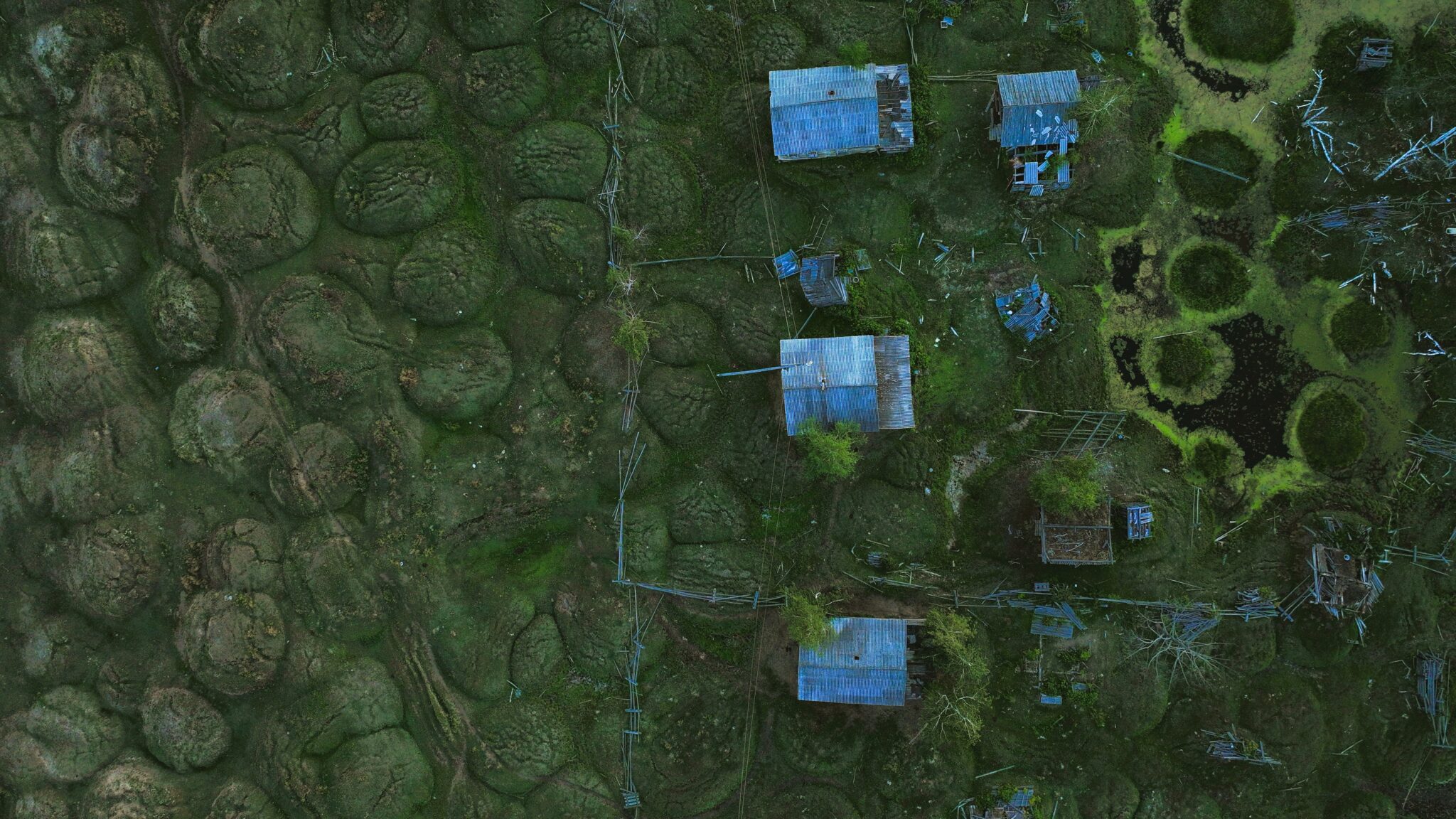 Η Ύβρις της Ανθρωπότητας: Το ανατριχιαστικό ντοκιμαντέρ του Γιώργου Αυγερόπουλου προβάλλεται στην Κύπρο