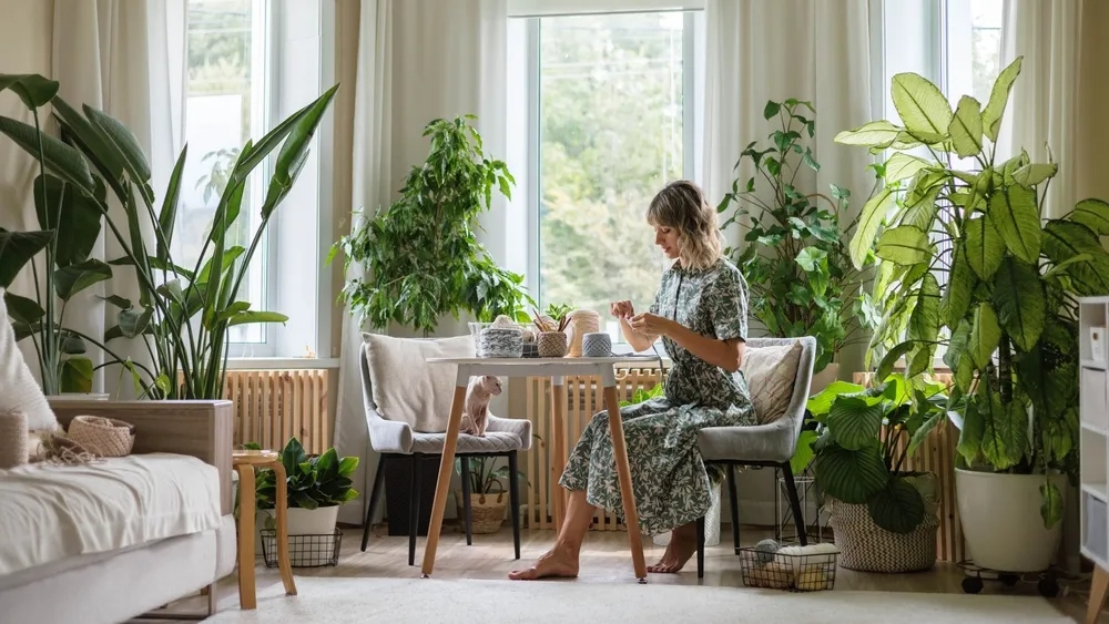 Καθαρός αέρας στο σπίτι: Το φυτό που αφαιρεί έως και 90% των ρύπων σε μόλις 24 ώρες