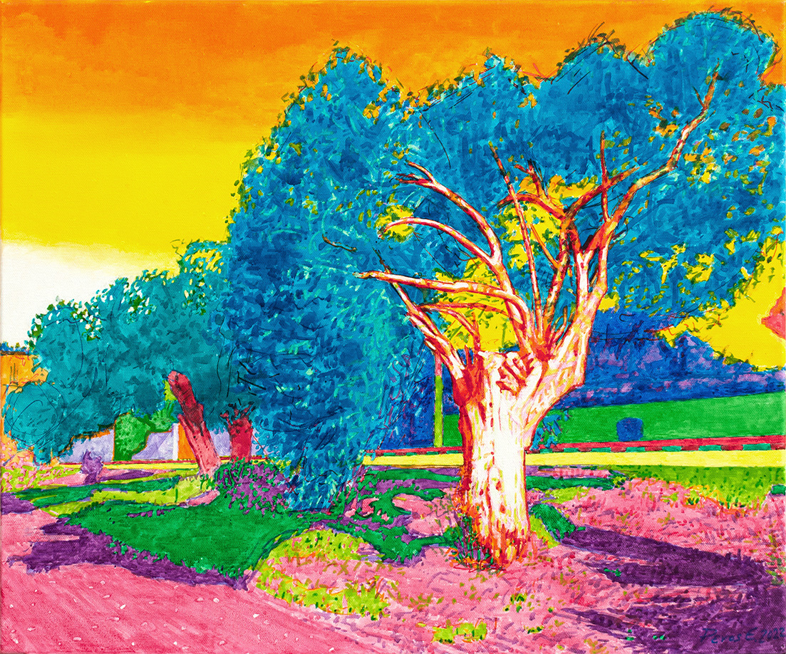 Φύση και Άνθρωπος: Ο Ρένος Εφεσόπουλος εκθέτει στη Λεμεσό